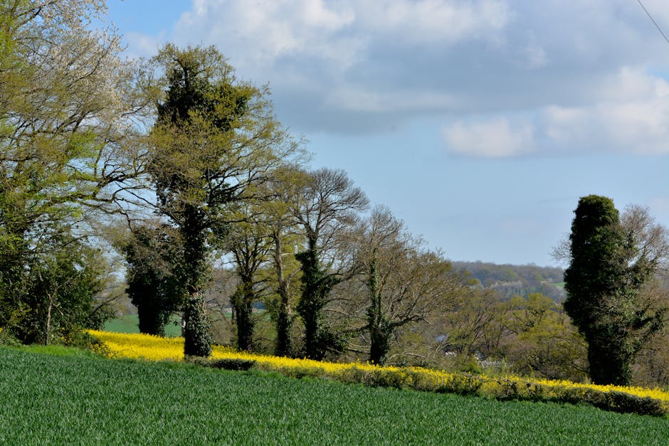 Creuse